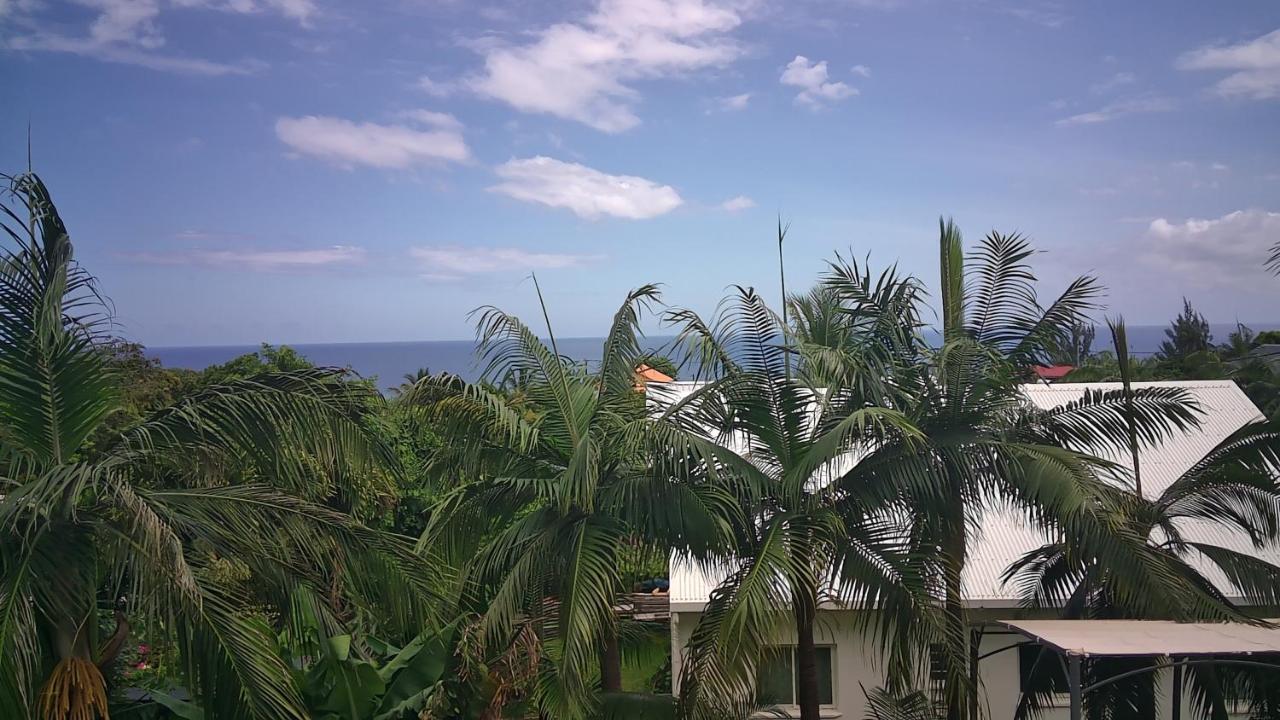 Un Petit Coin De Paradis A La Reunion Saint-Joseph Exteriér fotografie