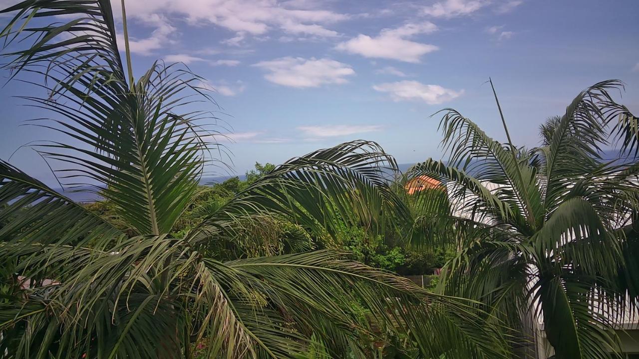 Un Petit Coin De Paradis A La Reunion Saint-Joseph Exteriér fotografie